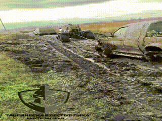 1.gif