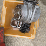 IMG-4541