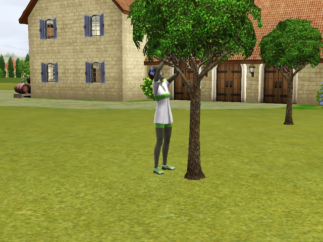 Screenshot-526