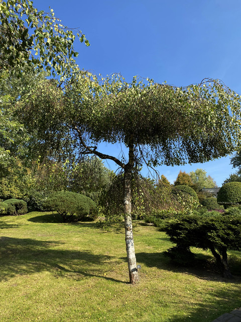 IMG-0571