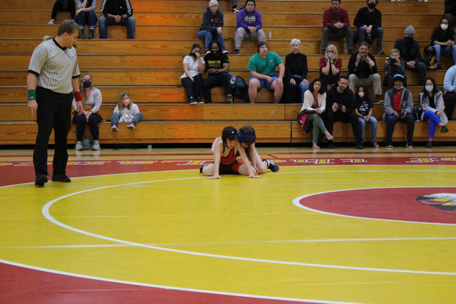 IMG-0204