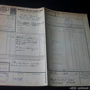 IMG-4921