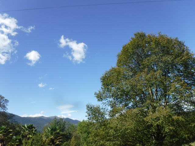 DSCF6195