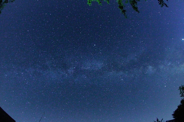 100c010071m
