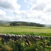 DSCF9113