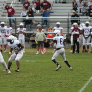 IMG-0295