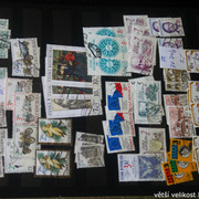 IMG-2417