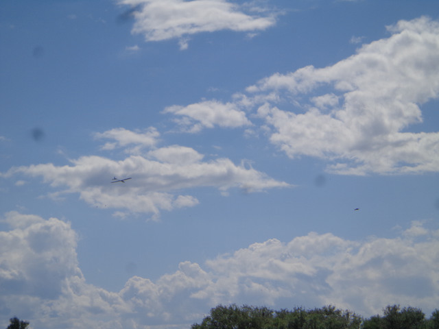 DSC00687.jpg