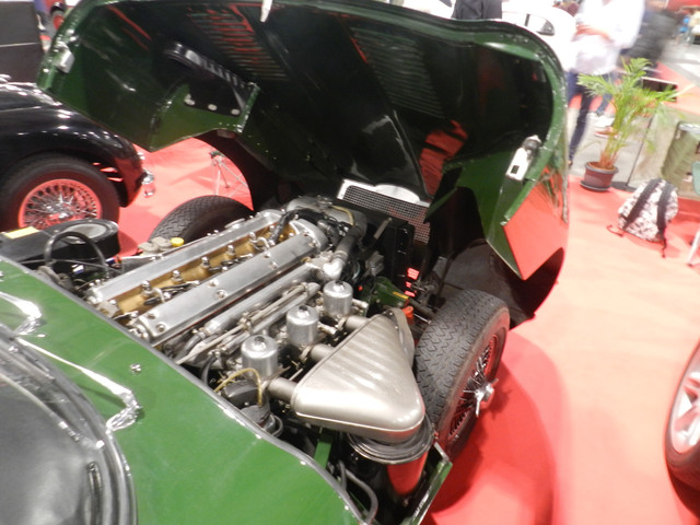 DSCN4358.jpg