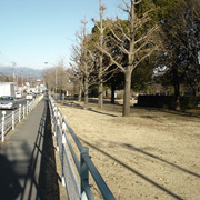 2012-01-06-124