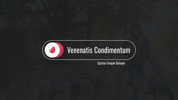 Professional Logo Lower Thirds Set Professional Logo Lower Thirds Set