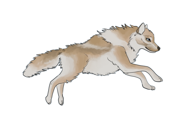 fluffy11