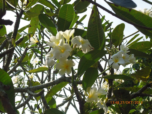 P1000797
