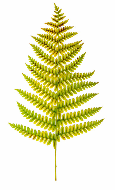 01-570