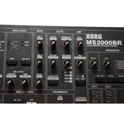 MS2000-BR-2