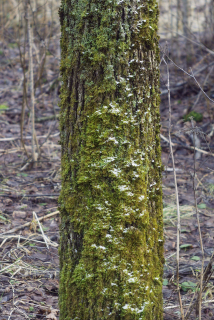 DSC8415.jpg