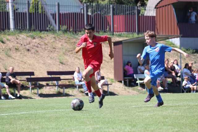 IMG-0431