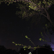 1c00284m