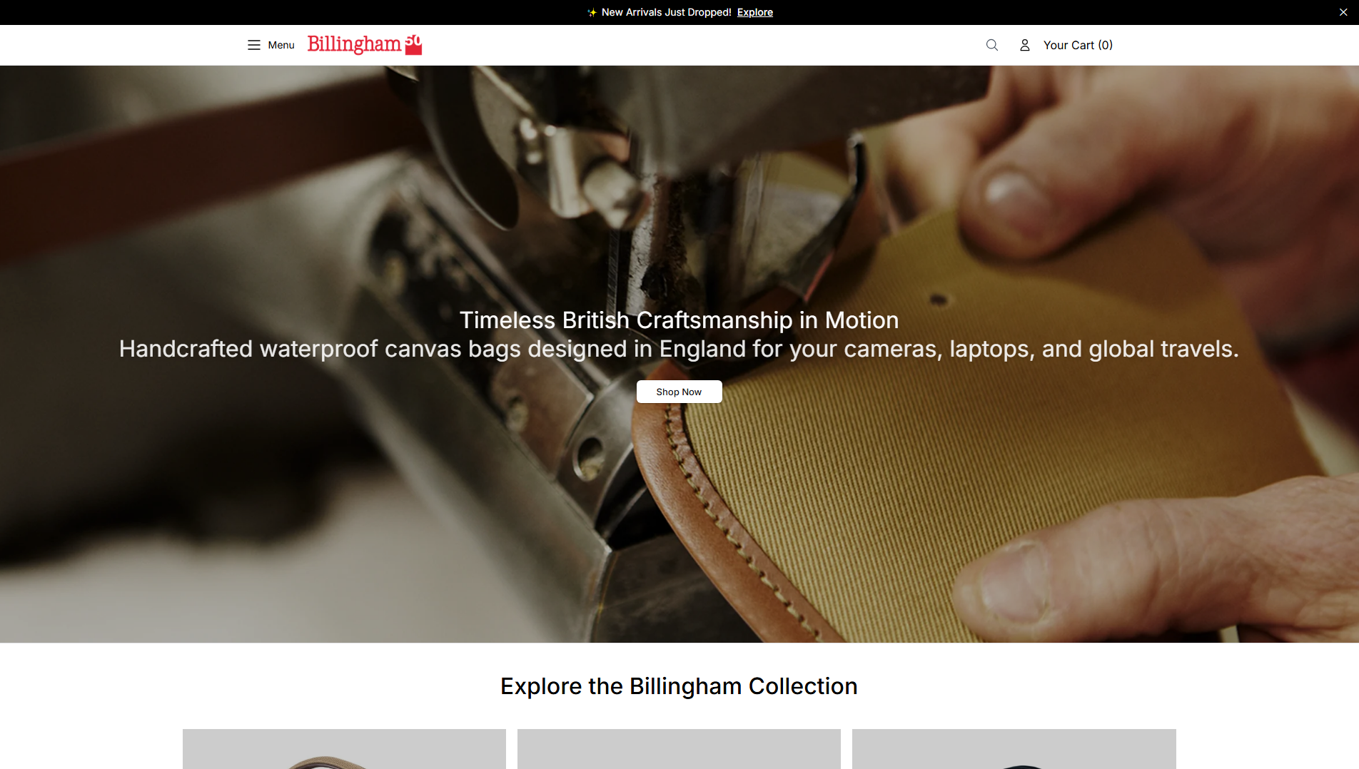 Основной снимок · billinghamstore.shop