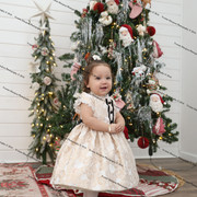 IMG 4422