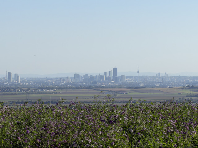 IMG-0432