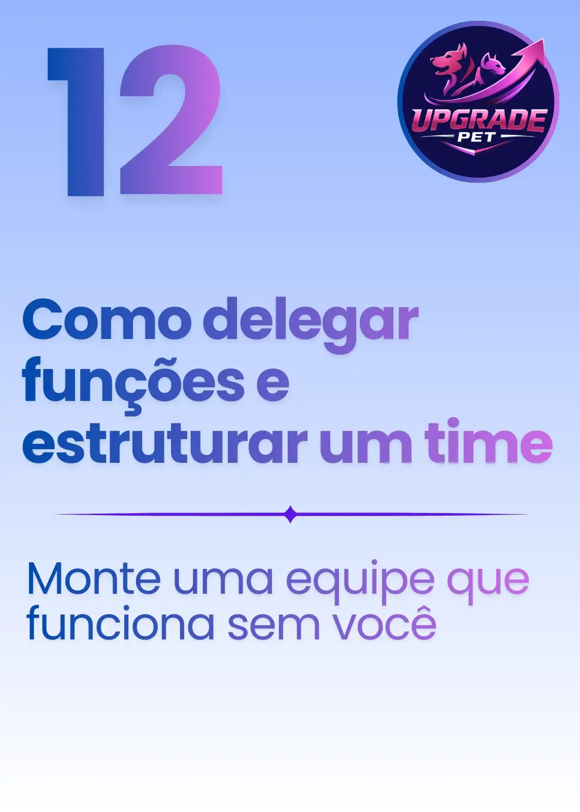 Imagem 12