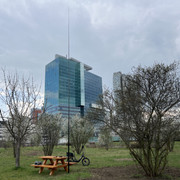 IMG-8735