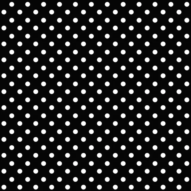 z LRio I.webp