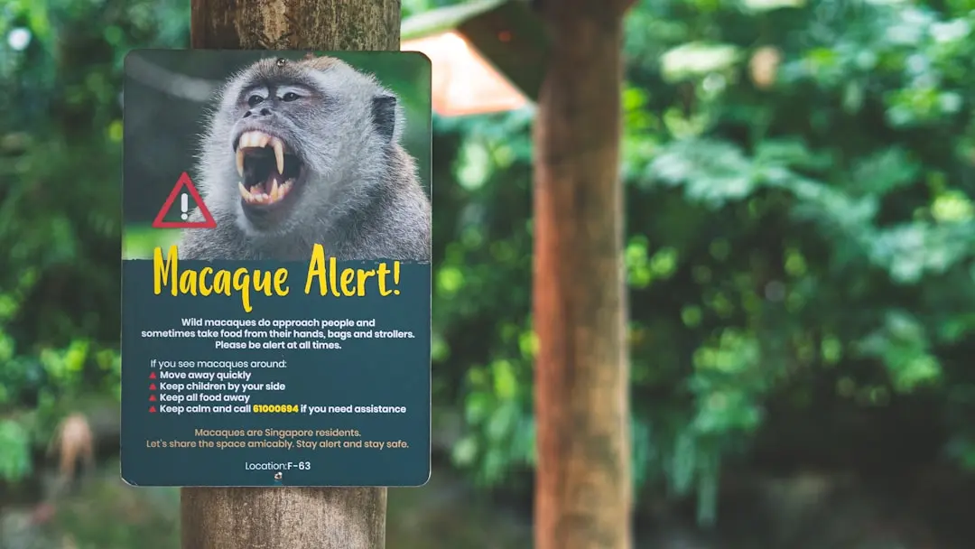 Urgent Warning Issued Over VMware vCenter Security Flaw Exploitation
