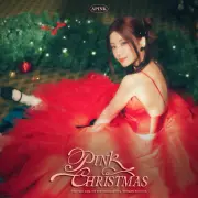 cho rong apink 1309239