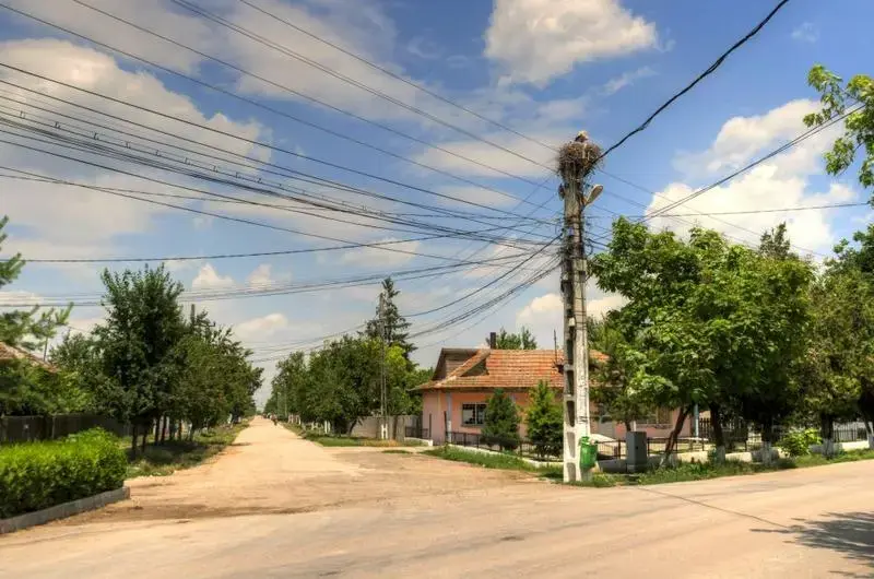 Digi România, obligată să dea acces altor operatori la rețeaua sa.