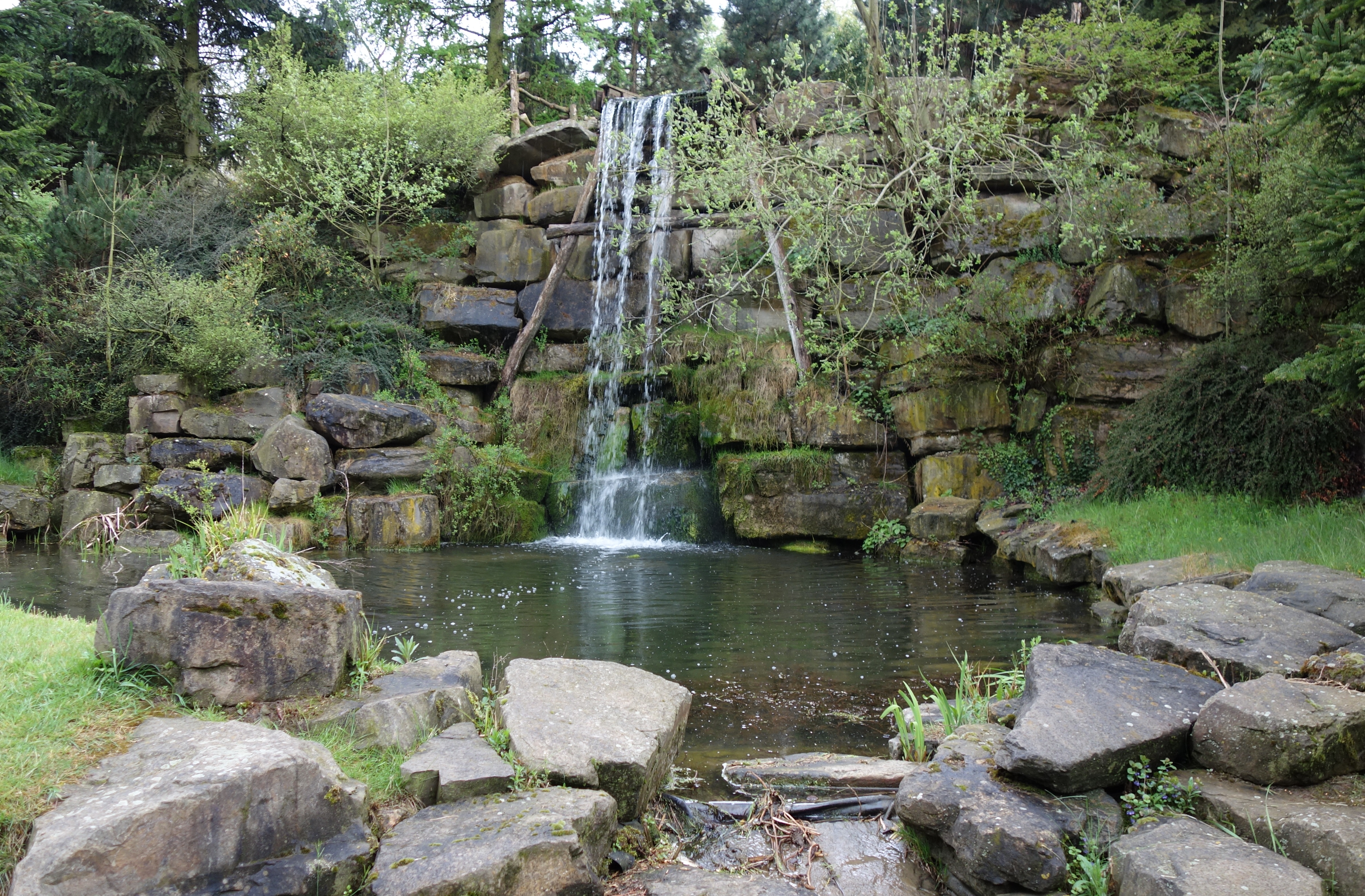 DSC00565