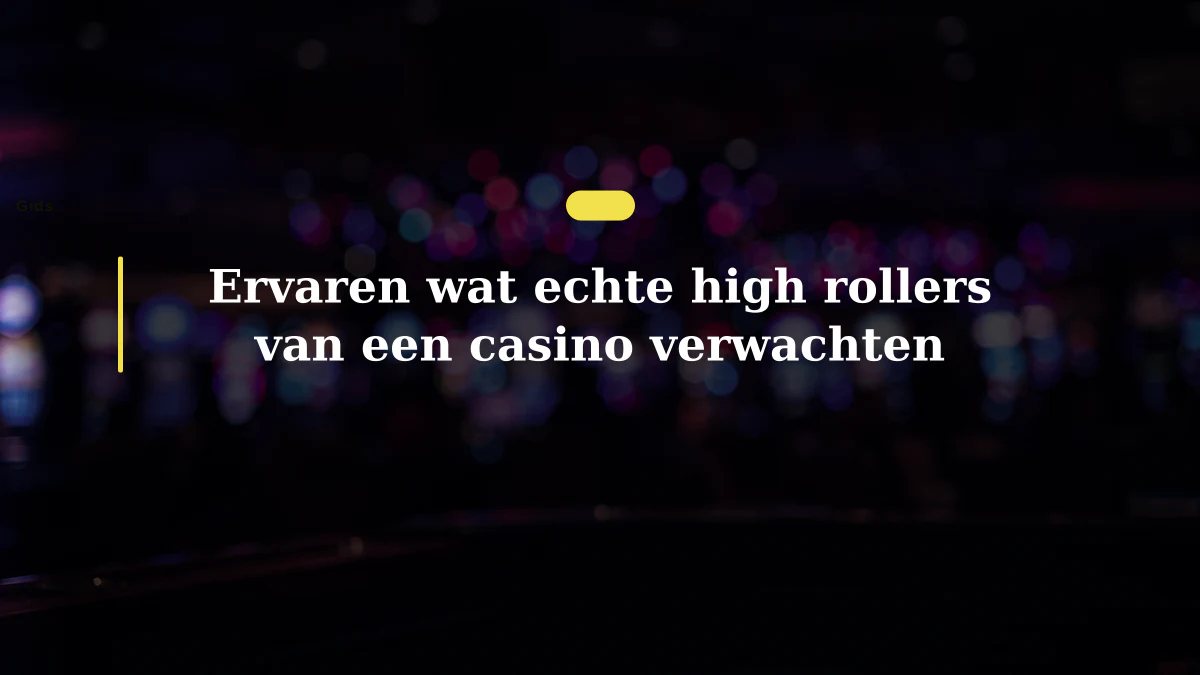 Ervaren wat echte high rollers van een casino verwachten
