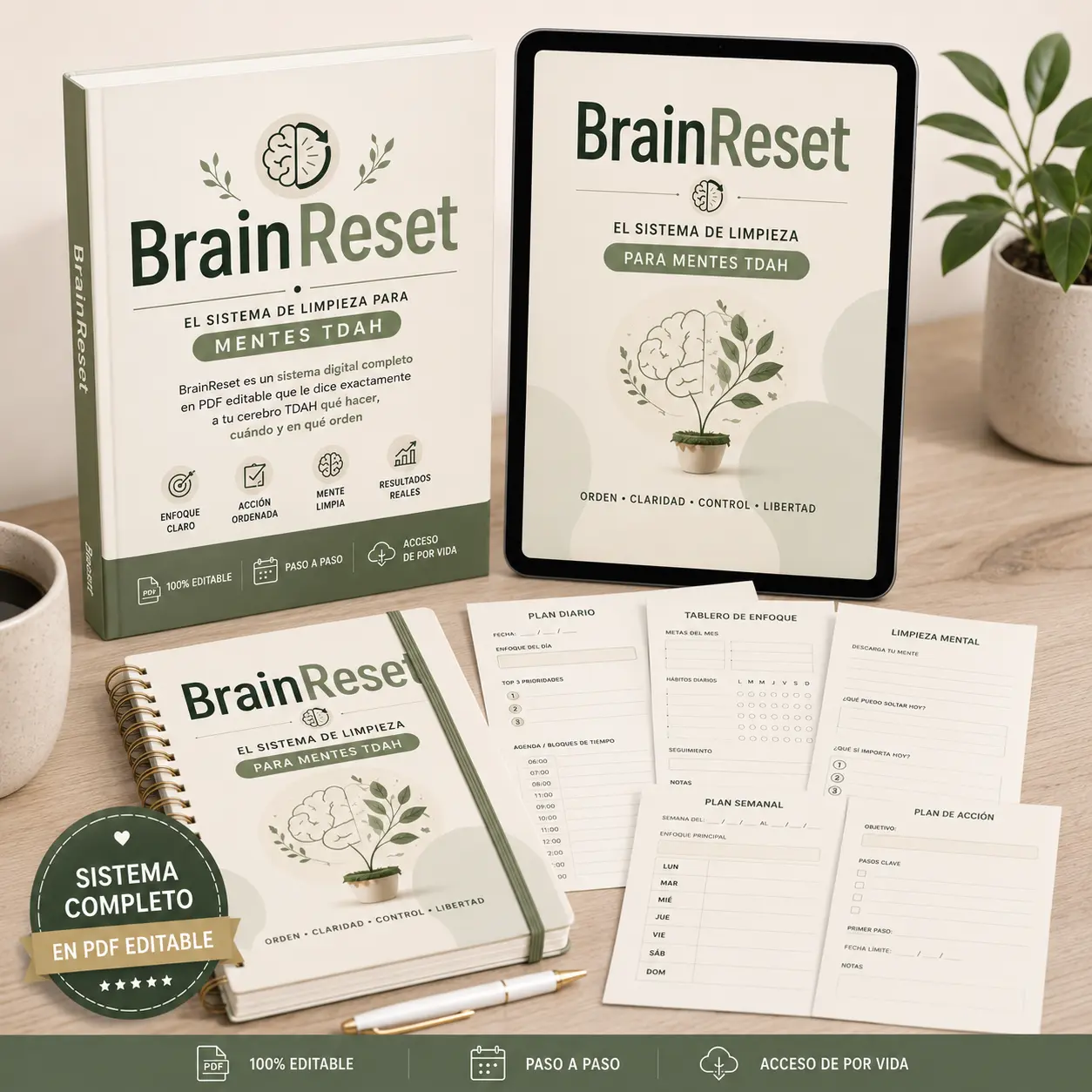 Vistas Interiores BrainReset