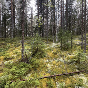 IMG 4794