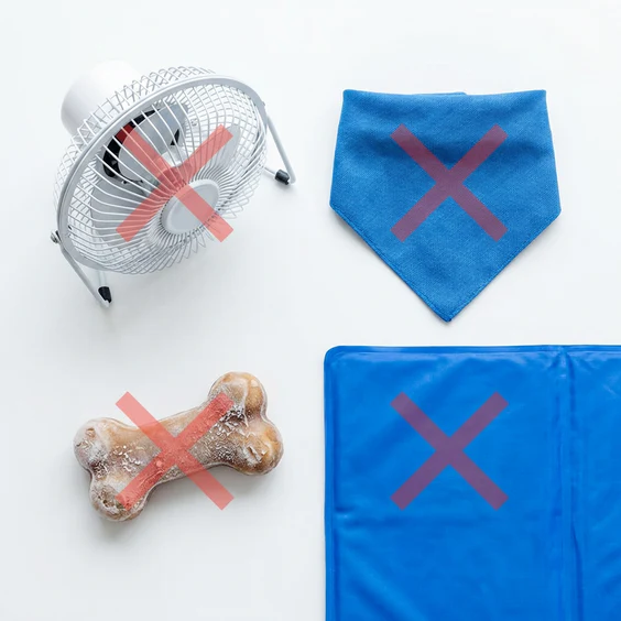Common cooling solutions — bandana, gel mat, ice vest