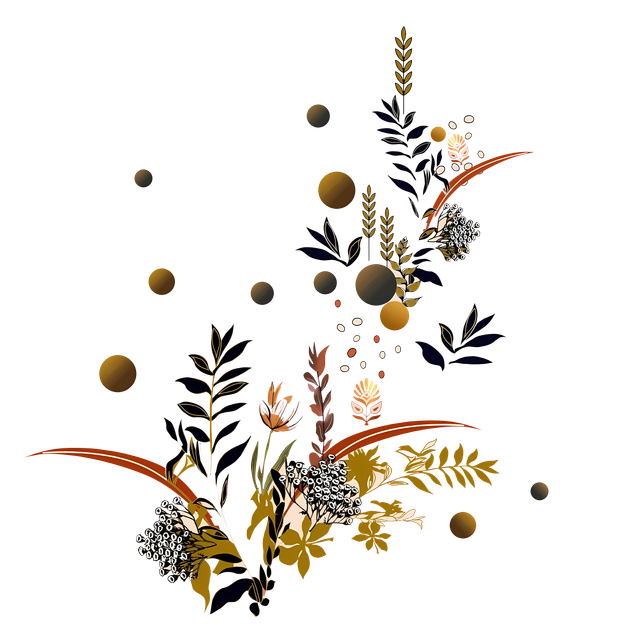 e11df83372785a255dfdd6b02a5620a4.png