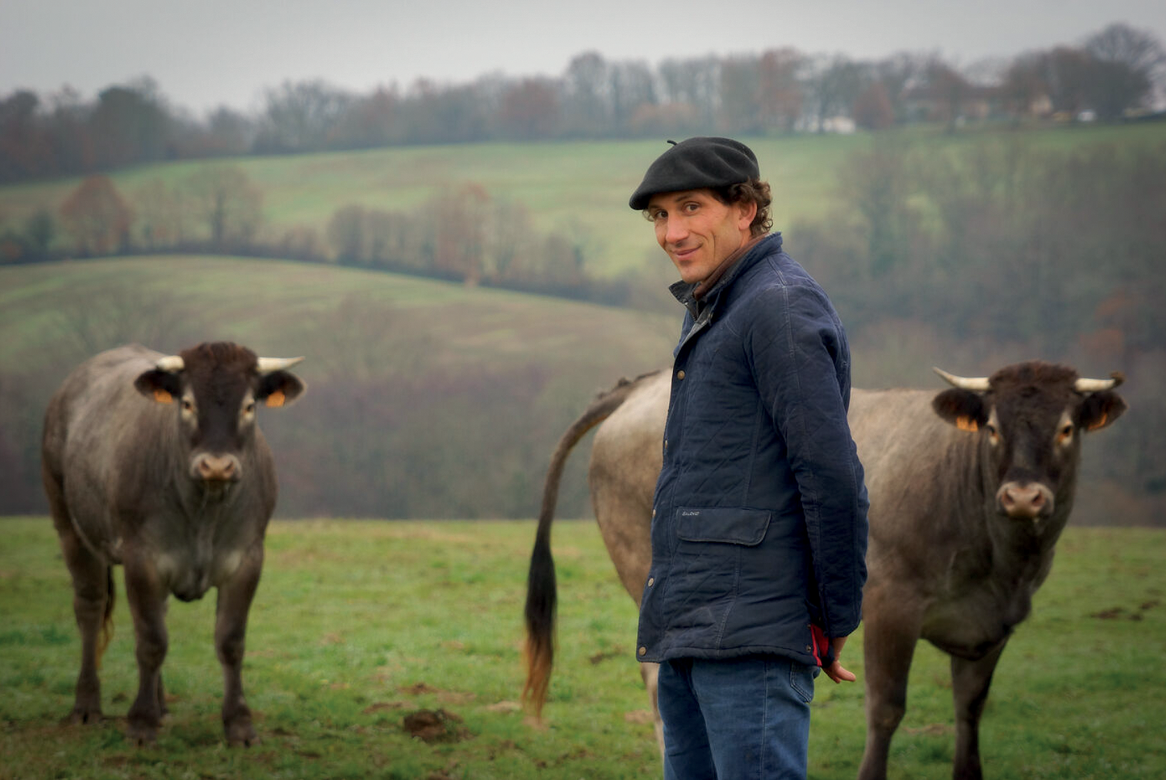 Wagyu international · Terroir et élevage · Sorovisa