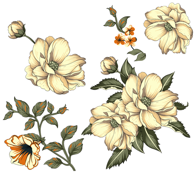 995e4643340aac97188cede56c56fed9.png