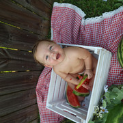 IMG-5367