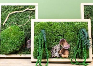 Moss Frame Workshop in Singapore — participants creating preserved moss art frames