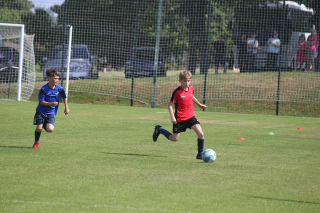IMG-4537