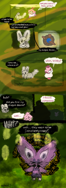 IMG 6017