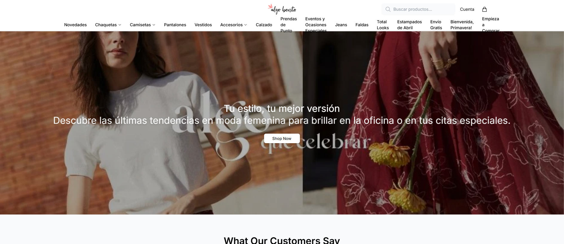 Stored capture of algoboutique.shop