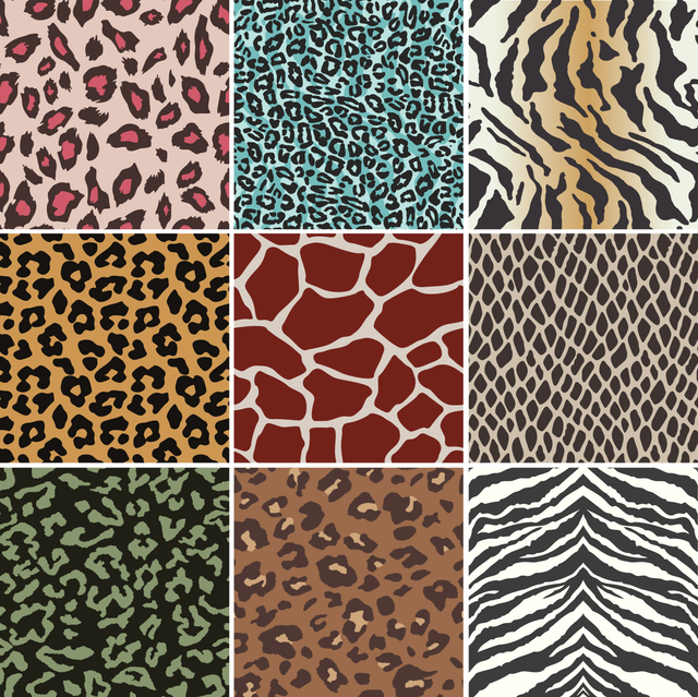 116 copy.png