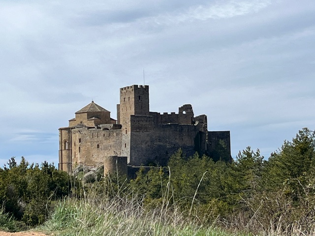 IMG 9896.jpg
