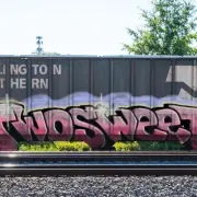 Graffiti artwork by bones
