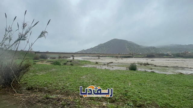 Photo 1770666316044