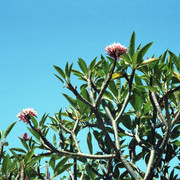 img006