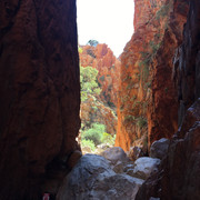 IMG 0927